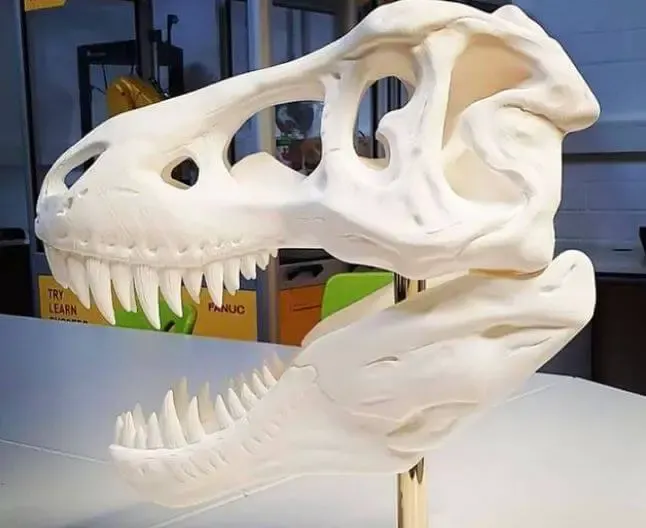 3d Printing Of Hdpe