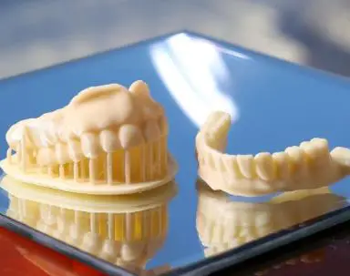 3d printed teeth model