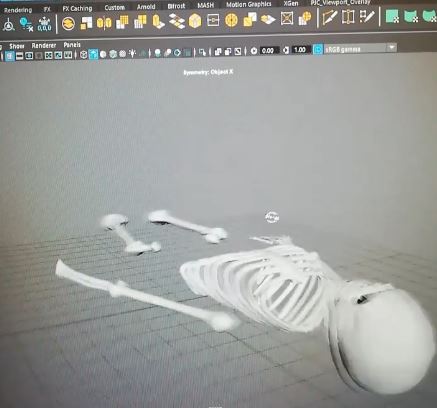 can you 3d print a person