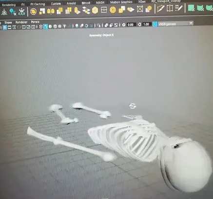can you 3d print a person