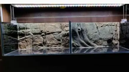 how to make a 3d fish tank background
